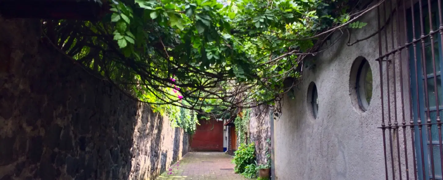 An Artist’s Coyoacán
