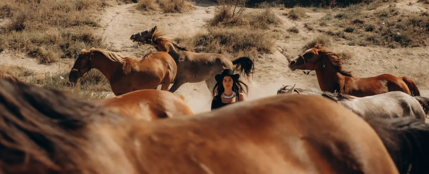 Caught Between Running Horses