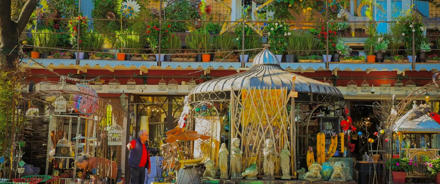 Brocantes & Avignon