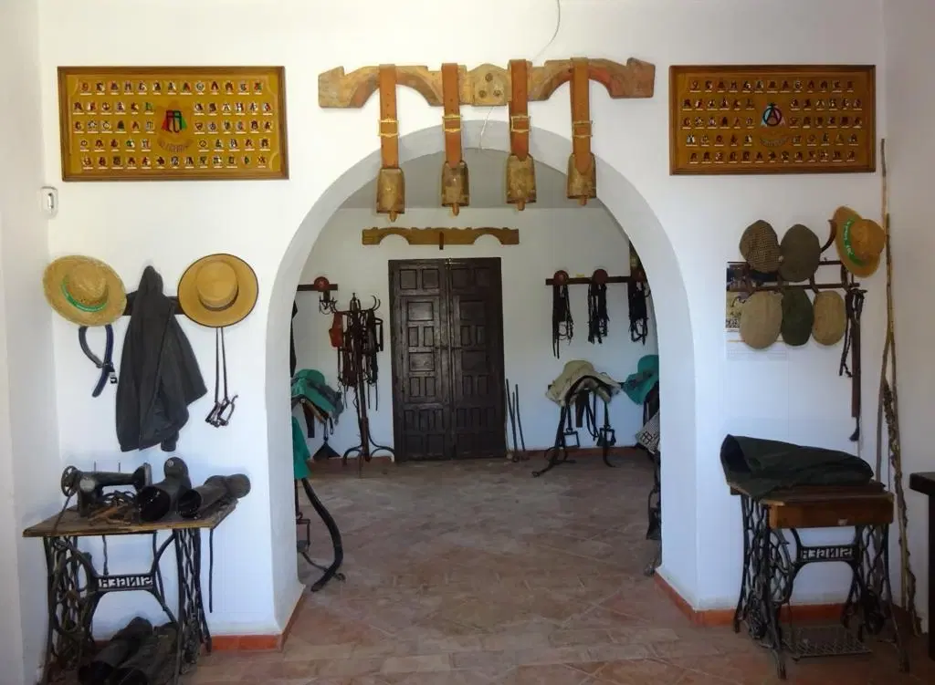 Legacy of the Toro Bravo