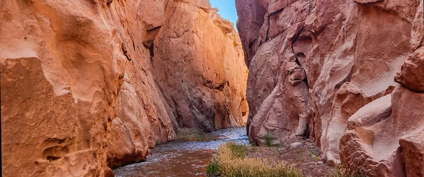 The Way of the Great River