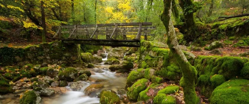 How To (Not) Get Lost in Gerês
