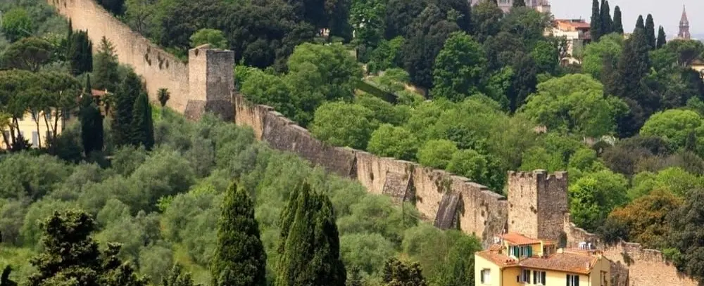 Florence From The Hills