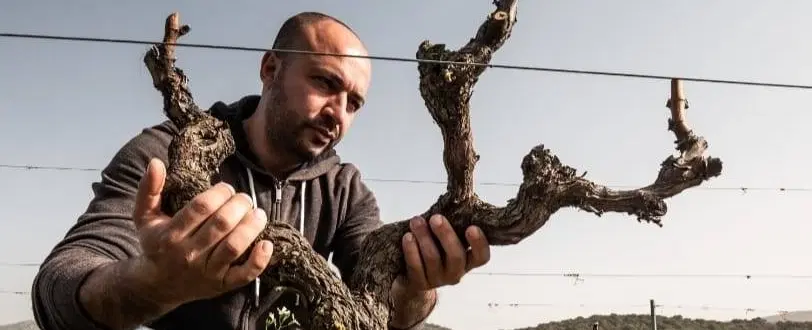 The Nuraghe Among the Vines