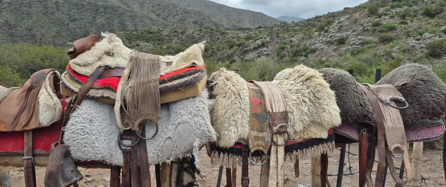 Sunset Horseback Ride in Andes Mountains of Mendoza Argentina with gaucho culture, bonfire, asado.