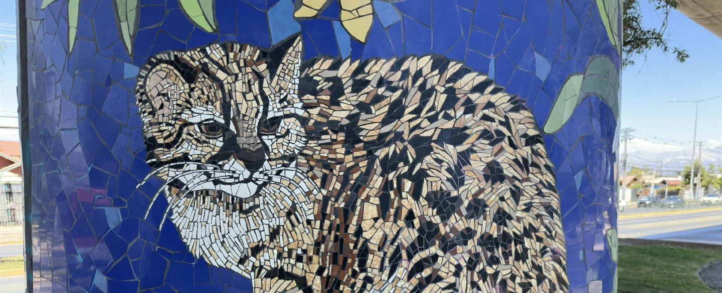 Art Tour in Puente Alto, Chile with artist-led mosaic walk, street murals and cultural storytelling.