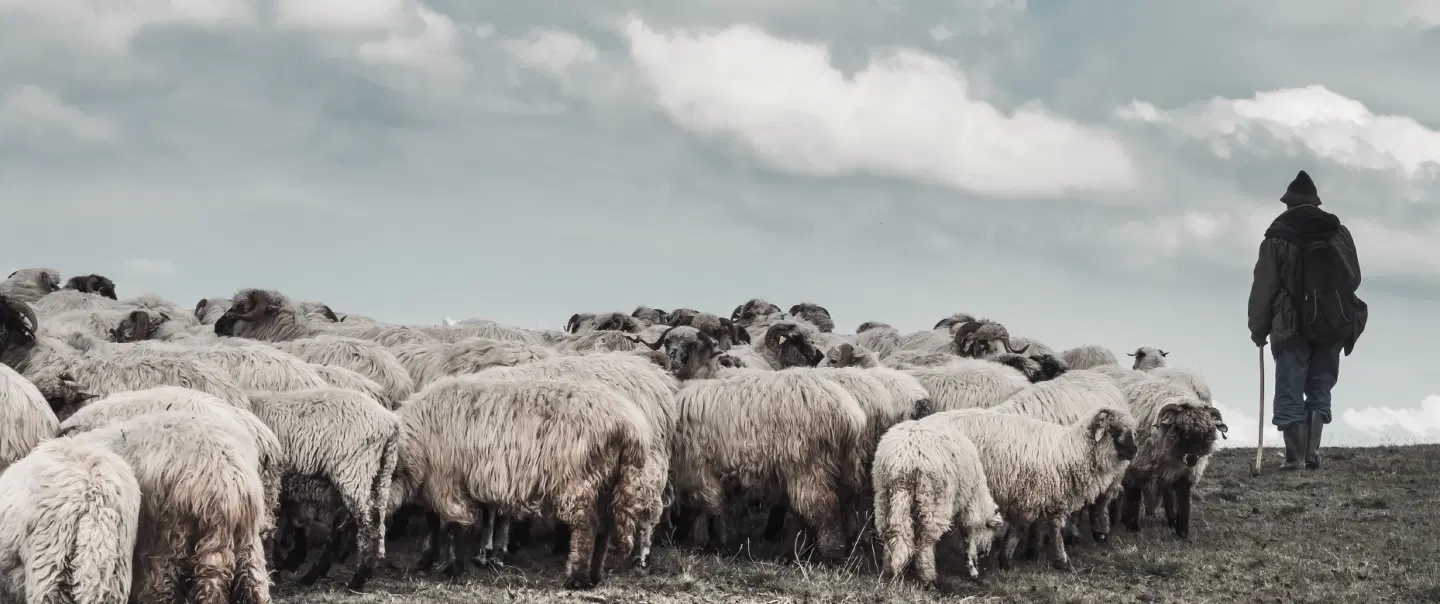 Walking the Shepherd's Trail
