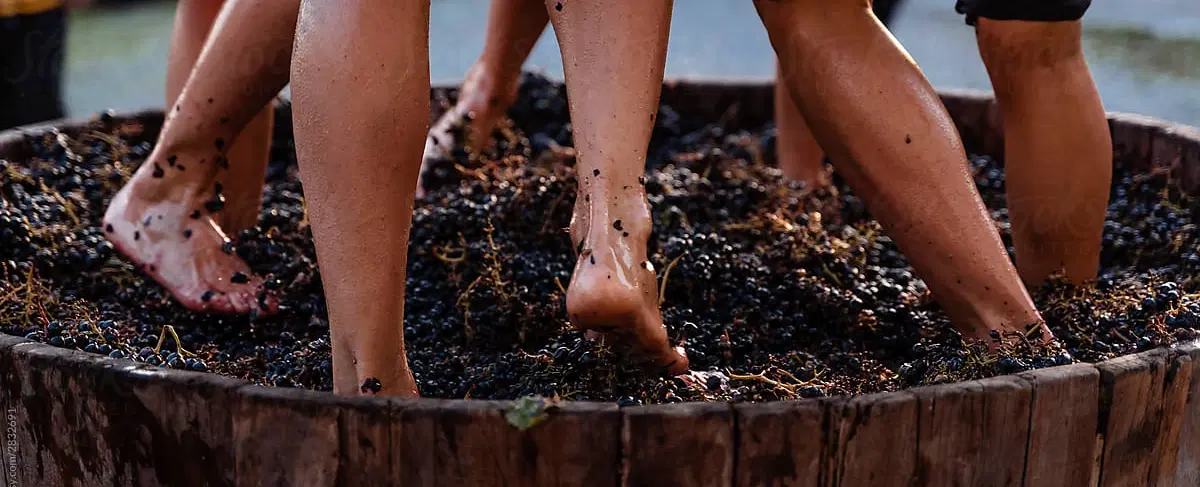 Douro Harvest Rituals
