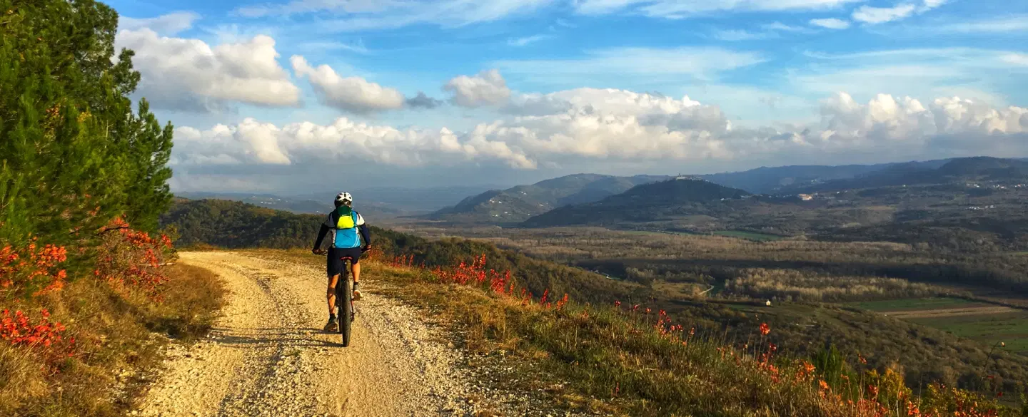 Trails, Vines & Stone Towns