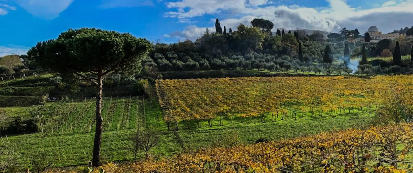 Escape to a Roman Vineyard