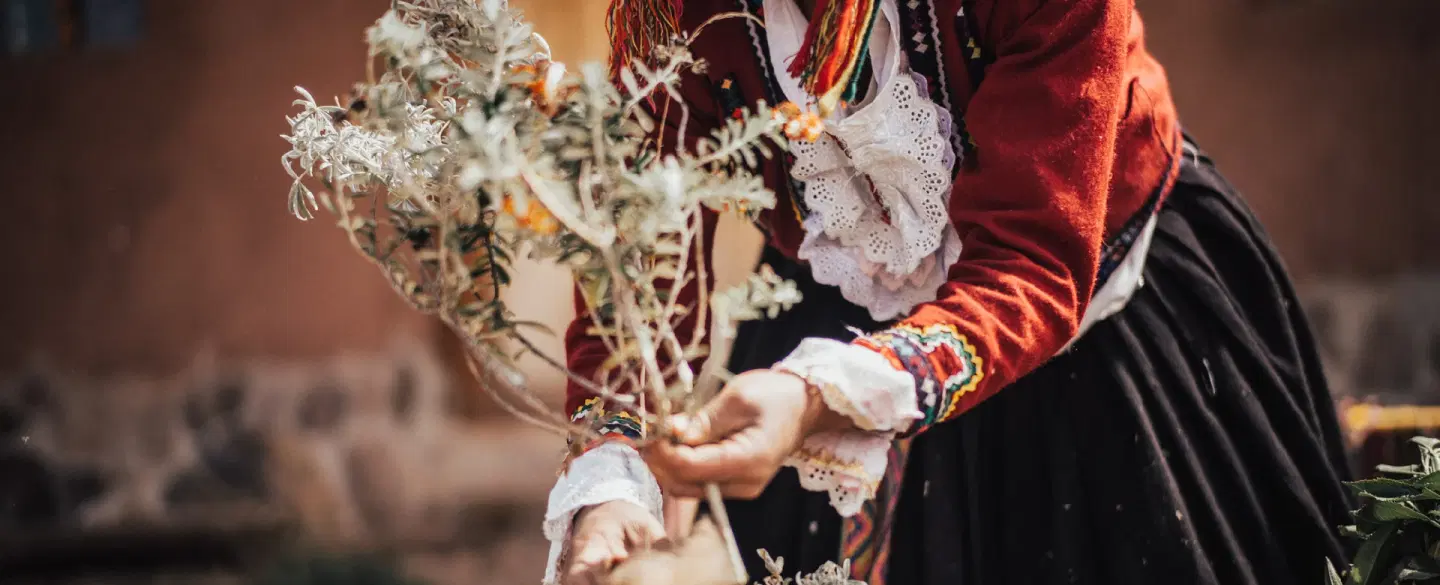 Yachaqs, Healers of the Andes
