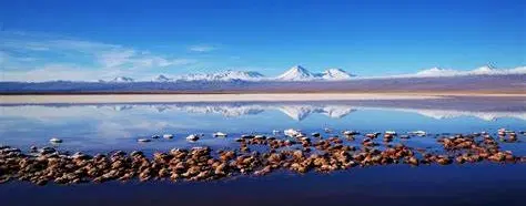 Eyes of the Desert